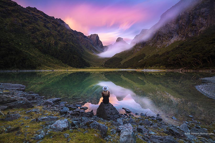 Contemplative Reptile